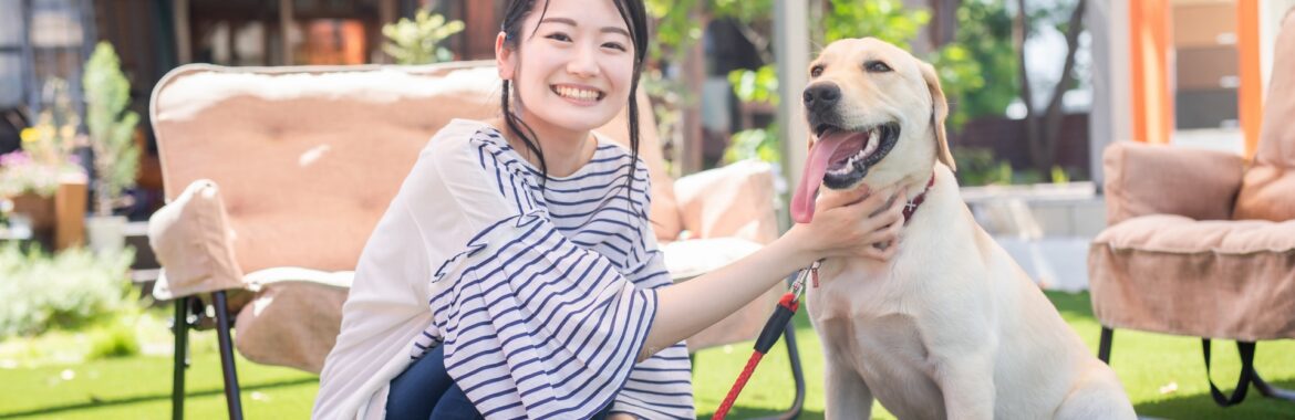 愛犬と暮らすなら日高市！自宅の庭を「プライベートドッグラン」にするための土地選びと外構